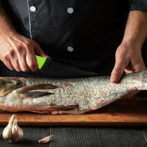 Couteau pour cuisine | Chef Inox Pro